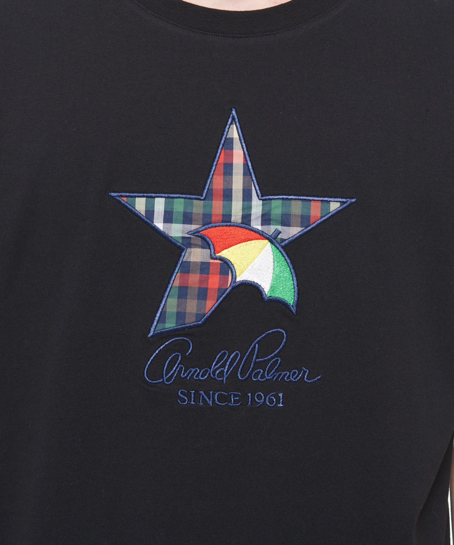 ビッグスターモチーフシェアTシャツ
