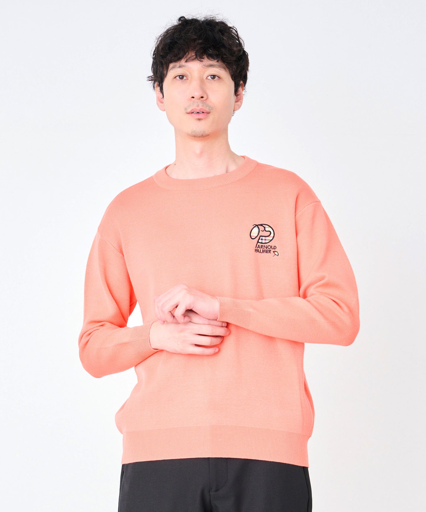 シェア ジャガードロゴニット プルオーバー