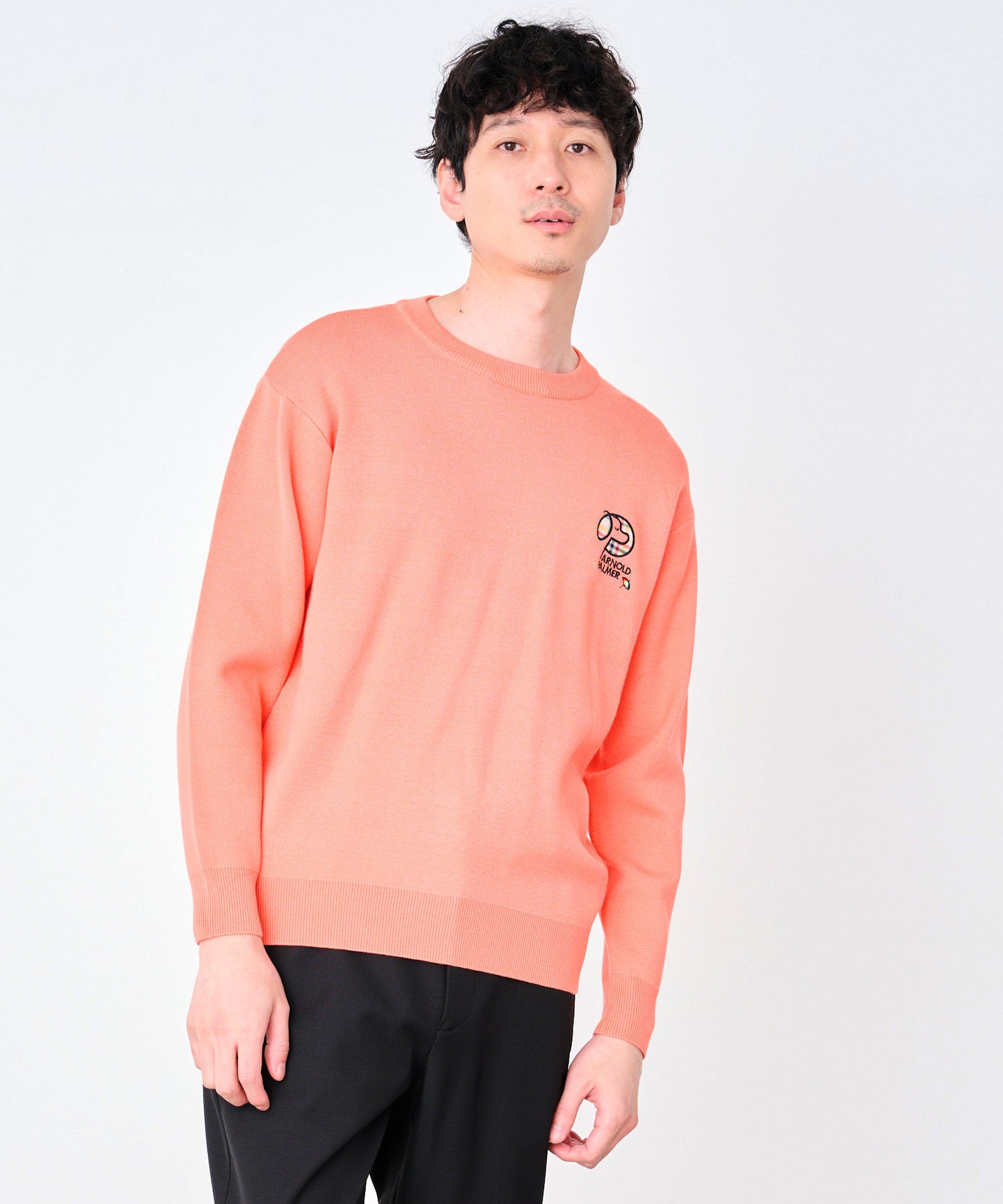 シェア ジャガードロゴニット プルオーバー