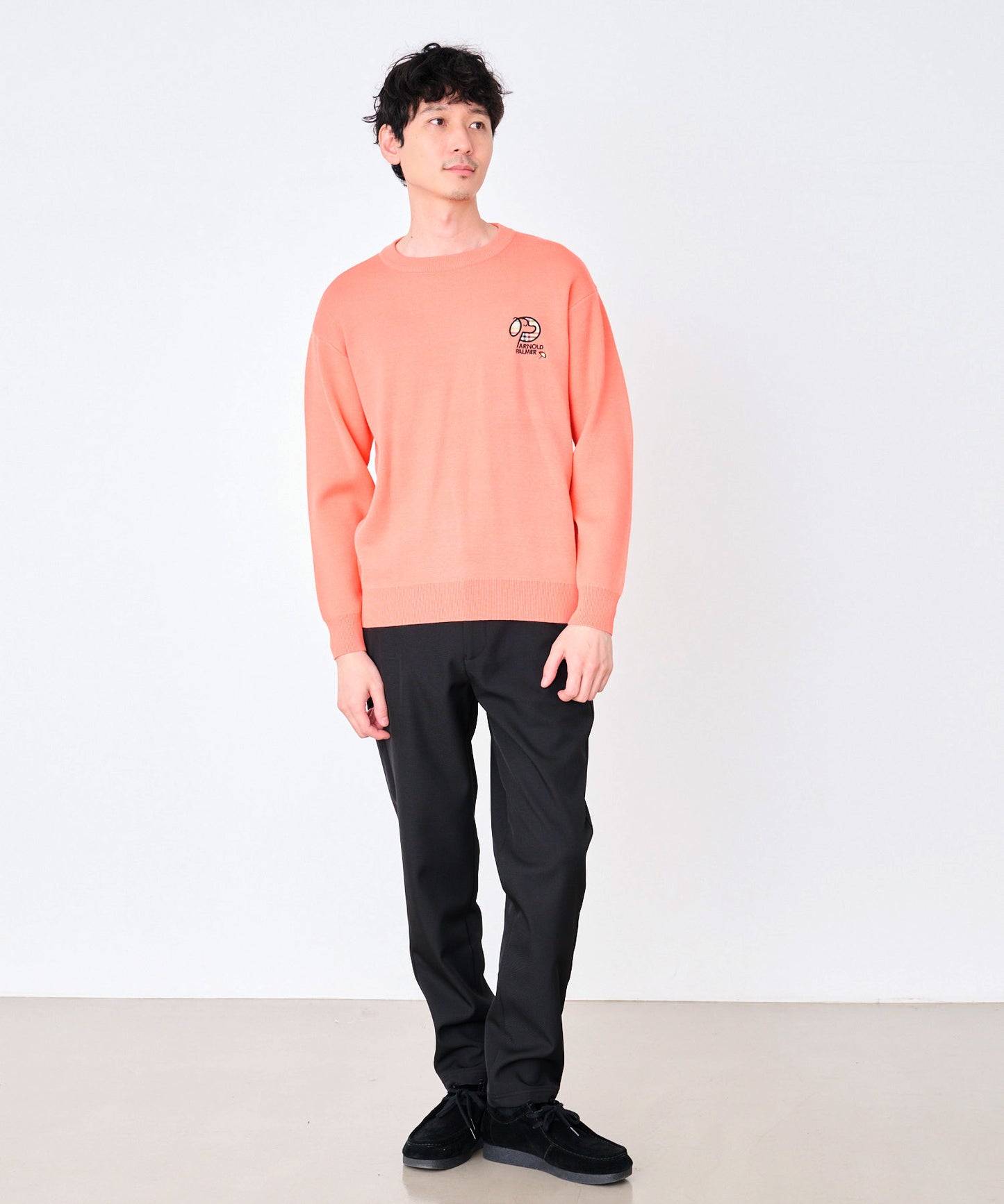 シェア ジャガードロゴニット プルオーバー