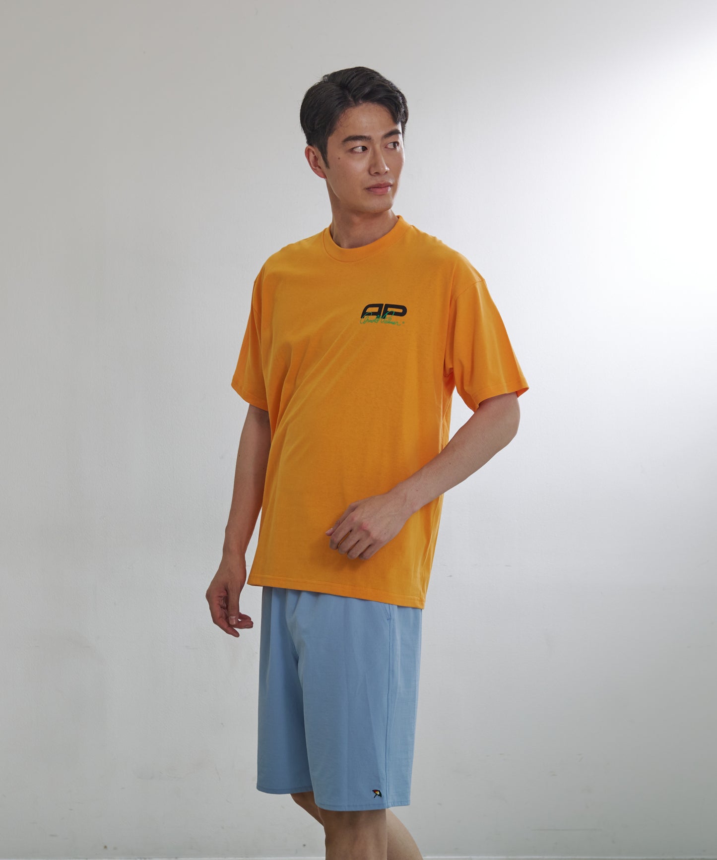 STAY FRESHレトロスポーツロゴシェアビッグTシャツ